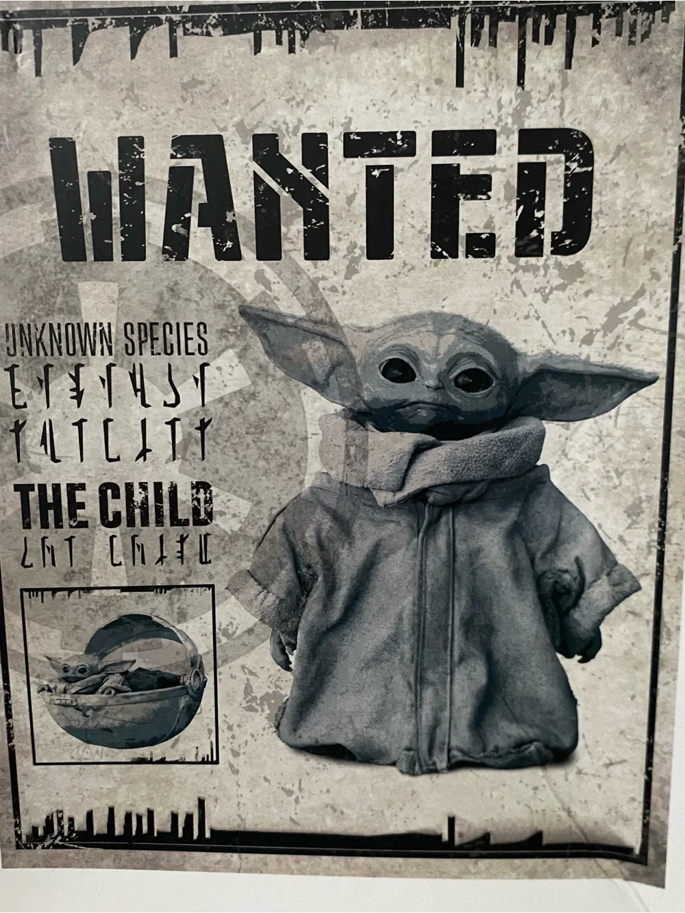 Star Wars disney parks